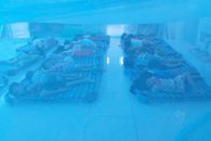 Phòng chống dịch bệnh sốt xuất huyết tại trường